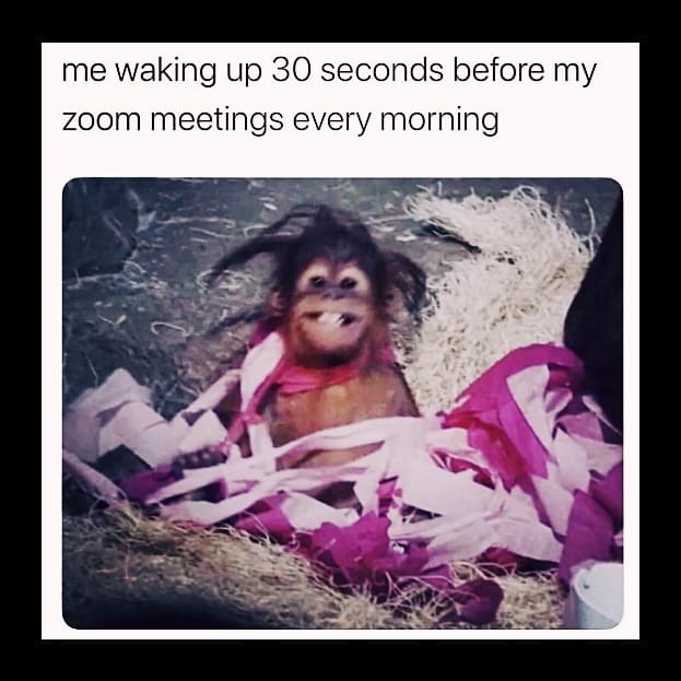 Remote work Memes - Me waking up 30 seconds before my zoom meeting every morning
