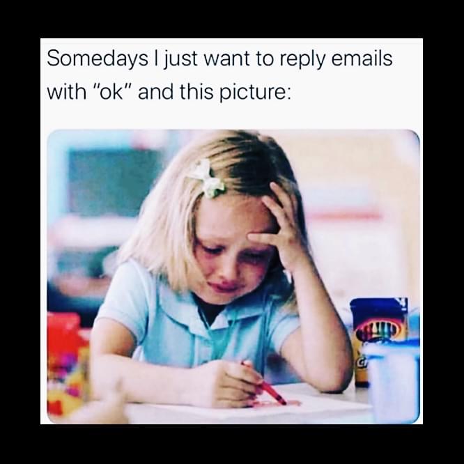 Remote work Memes - Somedays I just want to reply emails with "ok" and this picture