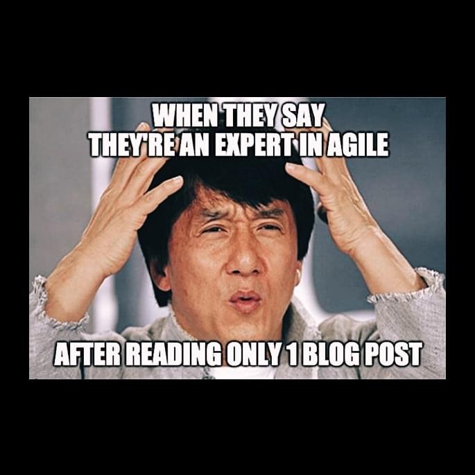 When they say they're an expert in agile... after reading only one blog post