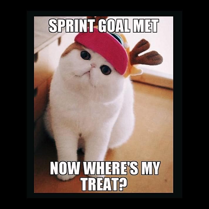 Sprint goal met... now where's my treat?