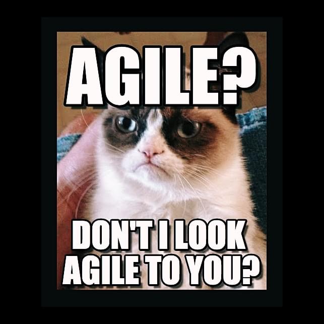 Agile? Don't I look agile to you?
