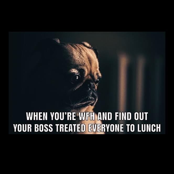 Remote work Memes - When you're working from home and find out your boss treated everyone to lunch