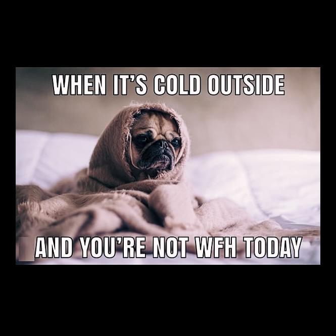 Remote work Memes - When its cold outside and you're not working from home today