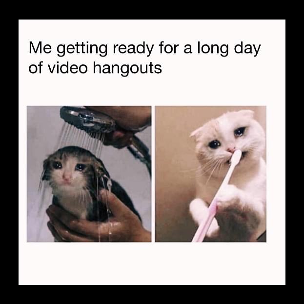 Remote work Memes - Me getting ready for a long day of video hangouts