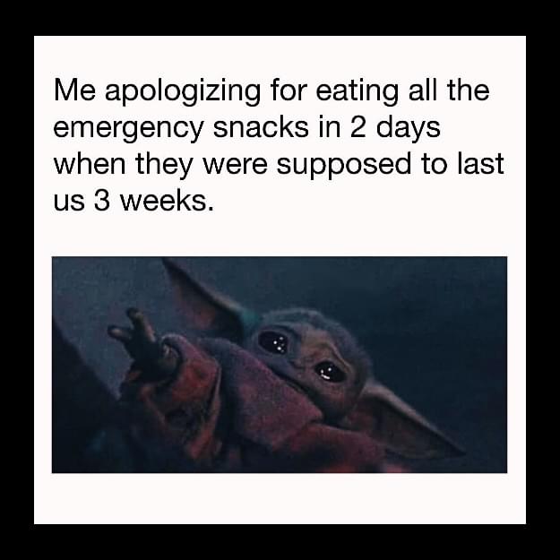 Remote work Memes - Me apologizing for eating all the emergency snacks in 2 days when they were supposed to last us 3 weeks